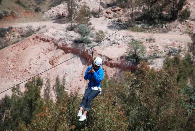 Canopy in Zacatecas 